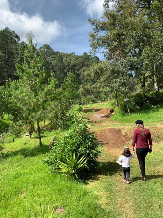 Romanticas Cabanas En Bosque Acaxochitlan Екстер'єр фото