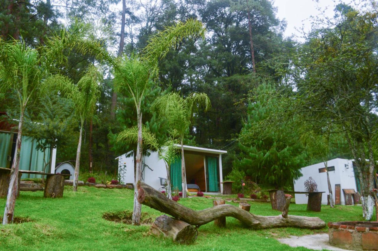 Romanticas Cabanas En Bosque Acaxochitlan Екстер'єр фото