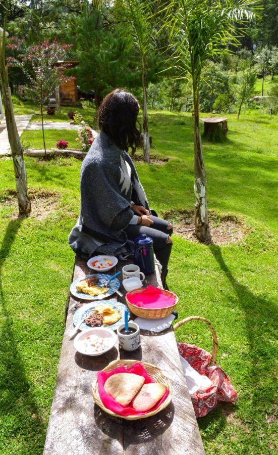Romanticas Cabanas En Bosque Acaxochitlan Екстер'єр фото